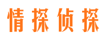 大宁市婚姻调查